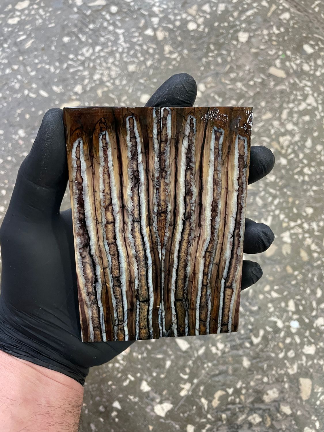 Mammoth tooth knife scales pair  stabilized for knifehandle 5.11-1.81-0.47 inch TOS71