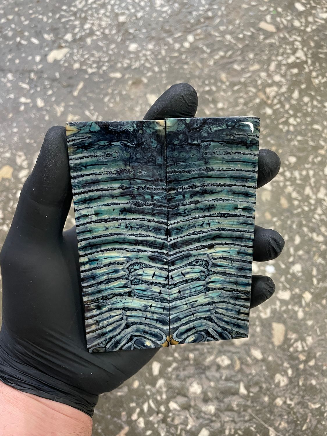 Mammoth tooth scales pair  stabilized for knifehandl 4.91-1.92-0.39 inch TOS59