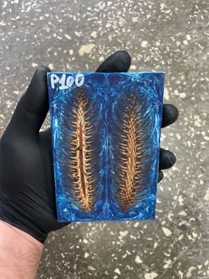 Pinecone in resin knife scales 5.19-1.73-0.43inch P100