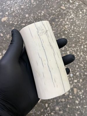 Walrus tusk for scrimshaw carving knifehandle 1.31 lb W1