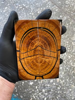 Mammoth tusk knife scales 5.19-1.85-0.39 inch MTS50