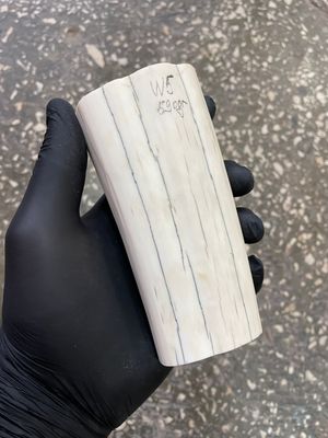 Walrus tusk for scrimshaw carving knifehandle 1.3 lb W5
