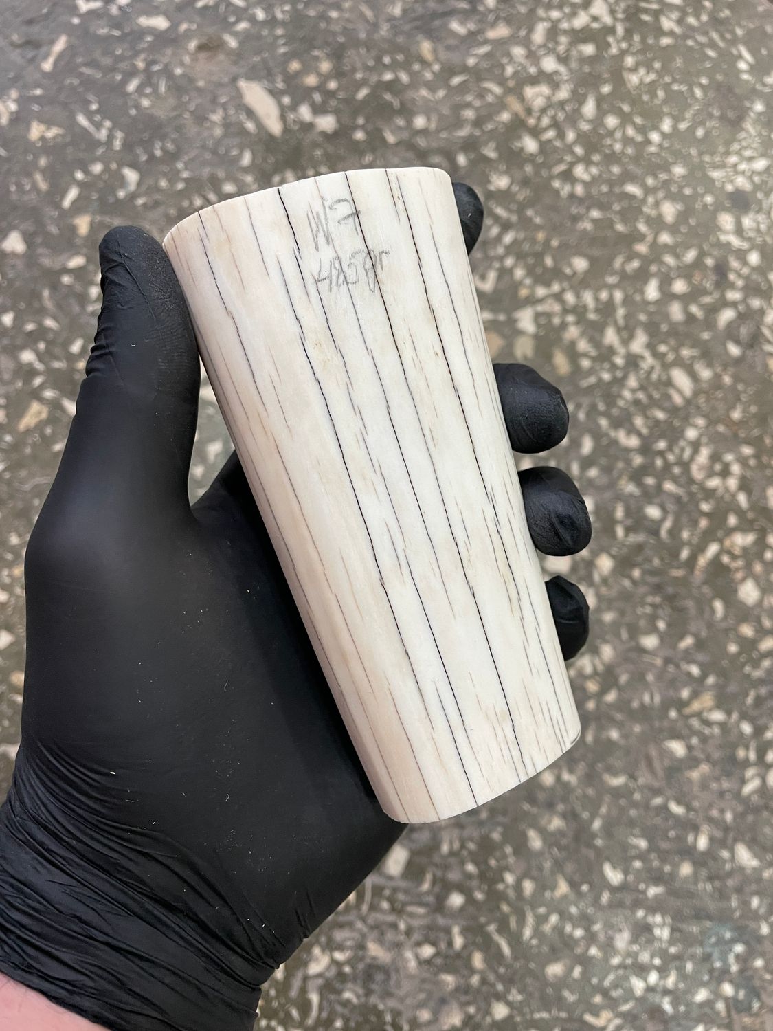 Walrus tusk for scrimshaw carving knifehandle 1.06 lb W7