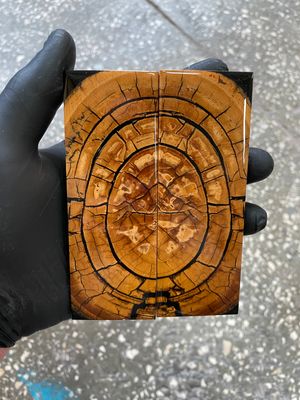 Mammoth tusk knife scales 5-1.81-0.39 inch MTS44