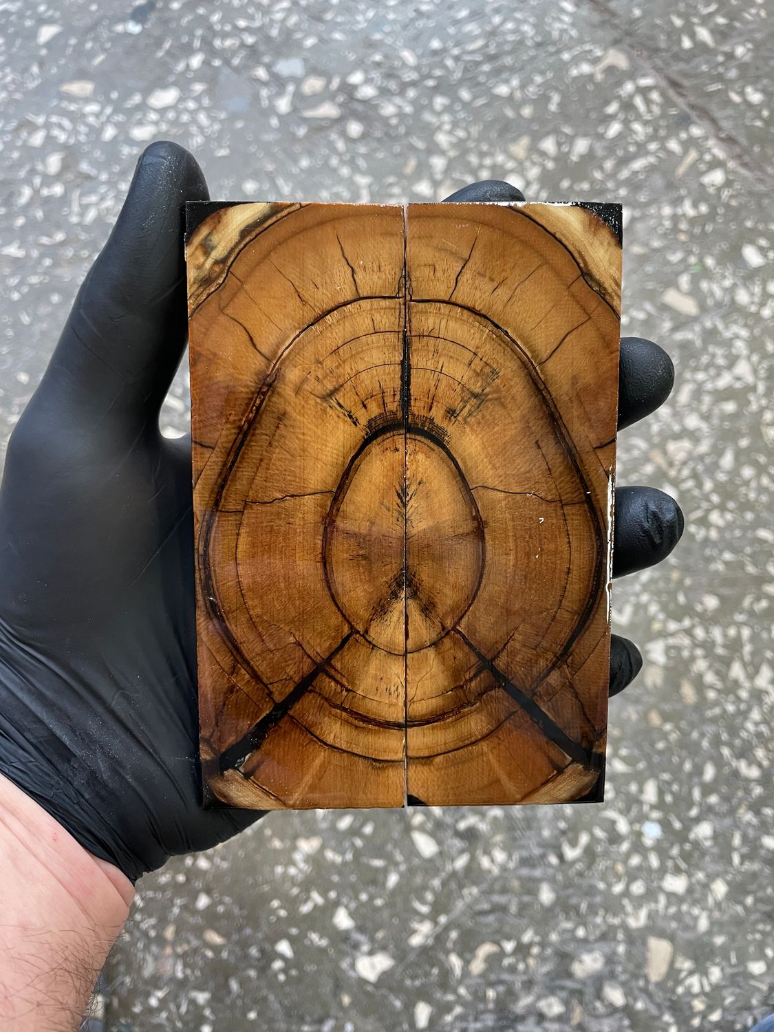 Mammoth tusk knife scales 5.23-1.77-0.39 inch MTS38