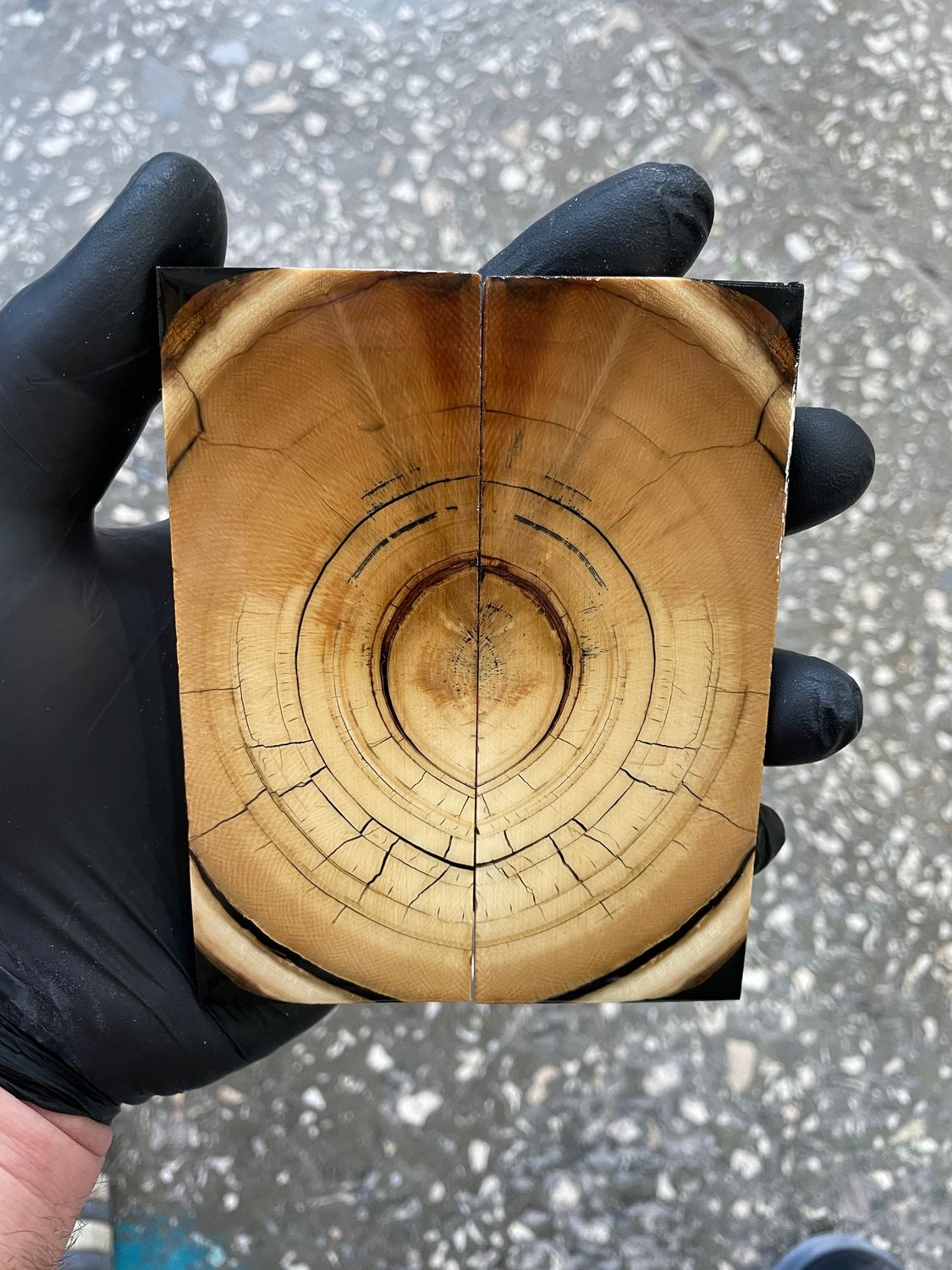 Mammoth tusk knife scales 4.64-1.81-0.35 inch MTS40