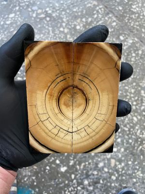 Mammoth tusk knife scales 4.64-1.81-0.35 inch MTS40