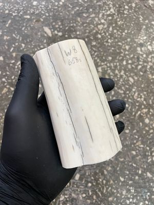 Walrus tusk for scrimshaw carving knifehandle 1.06 lb W8