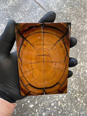 Mammoth tusk knife scales 5.35-1.81-0.39 inch MTS52