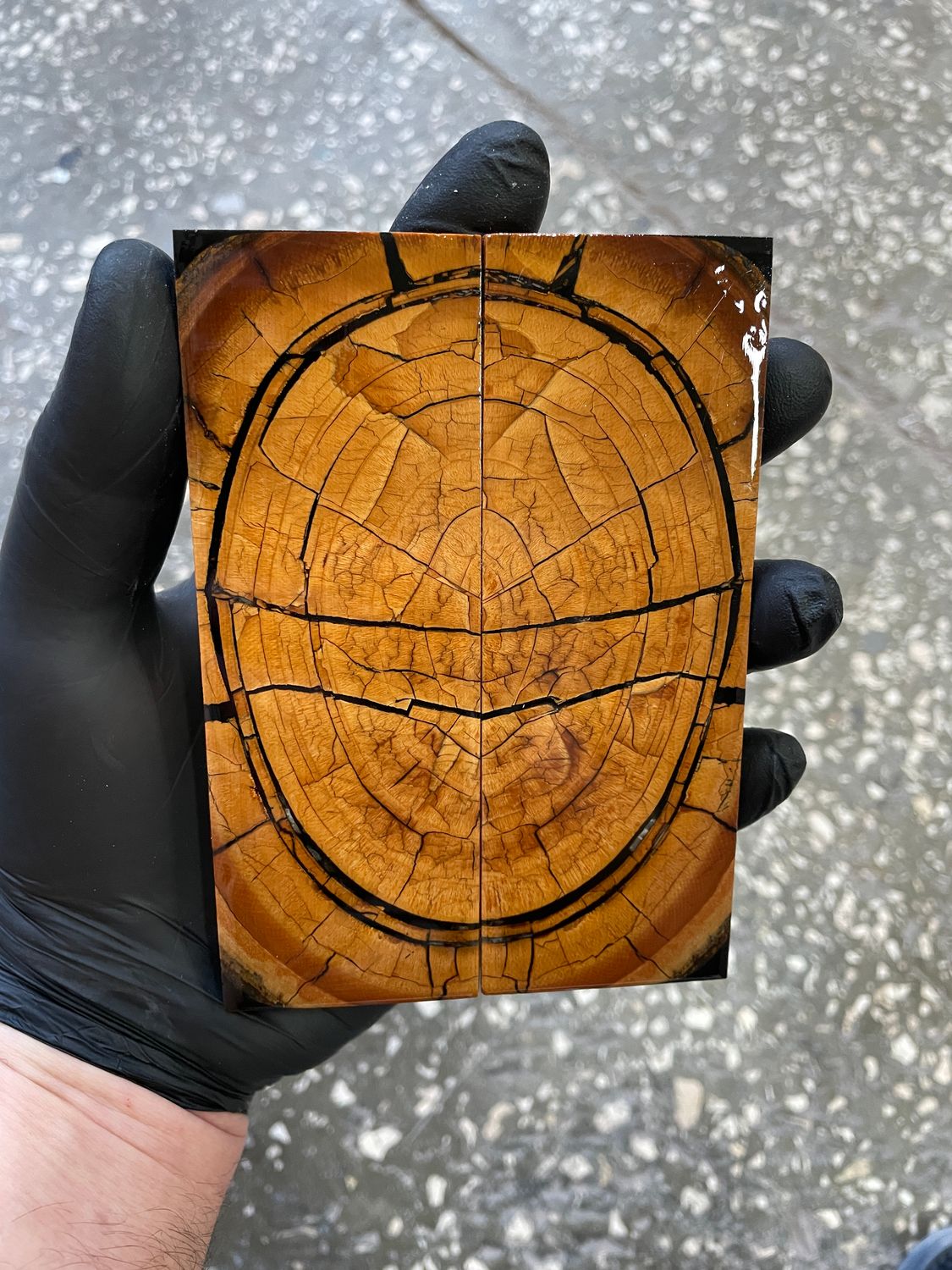 Mammoth tusk knife scales 5.35-1.81-0.39 inch MTS54