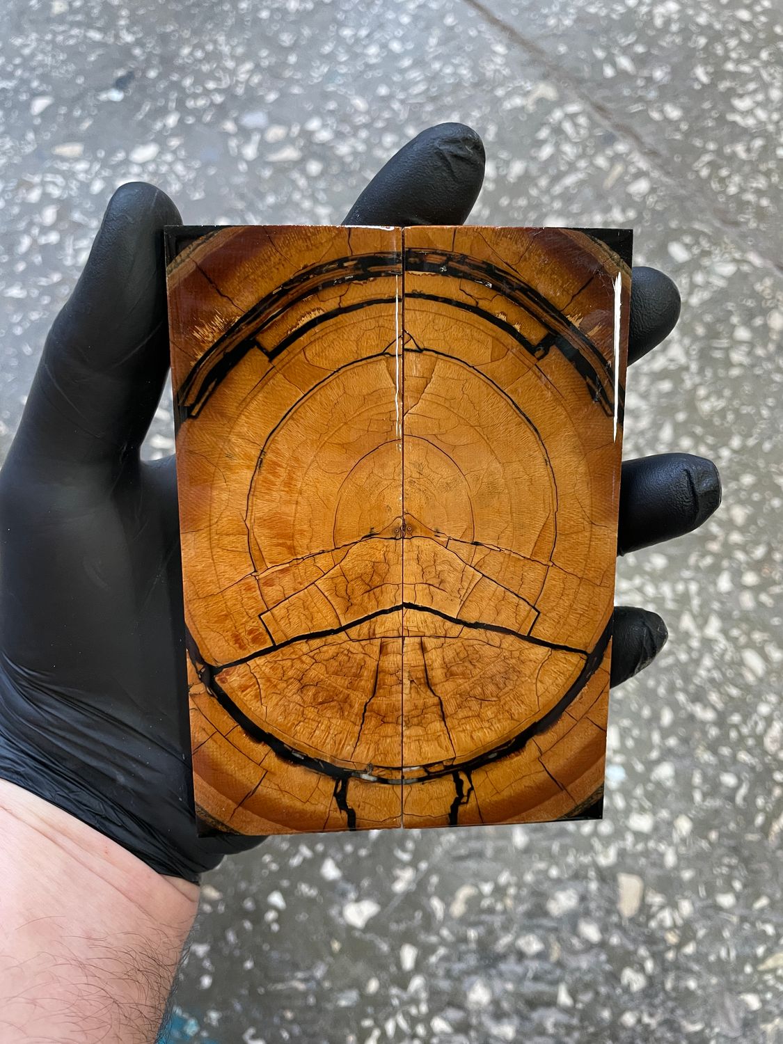 Mammoth tusk knife scales 5.35-1.81-0.39 inch MTS55