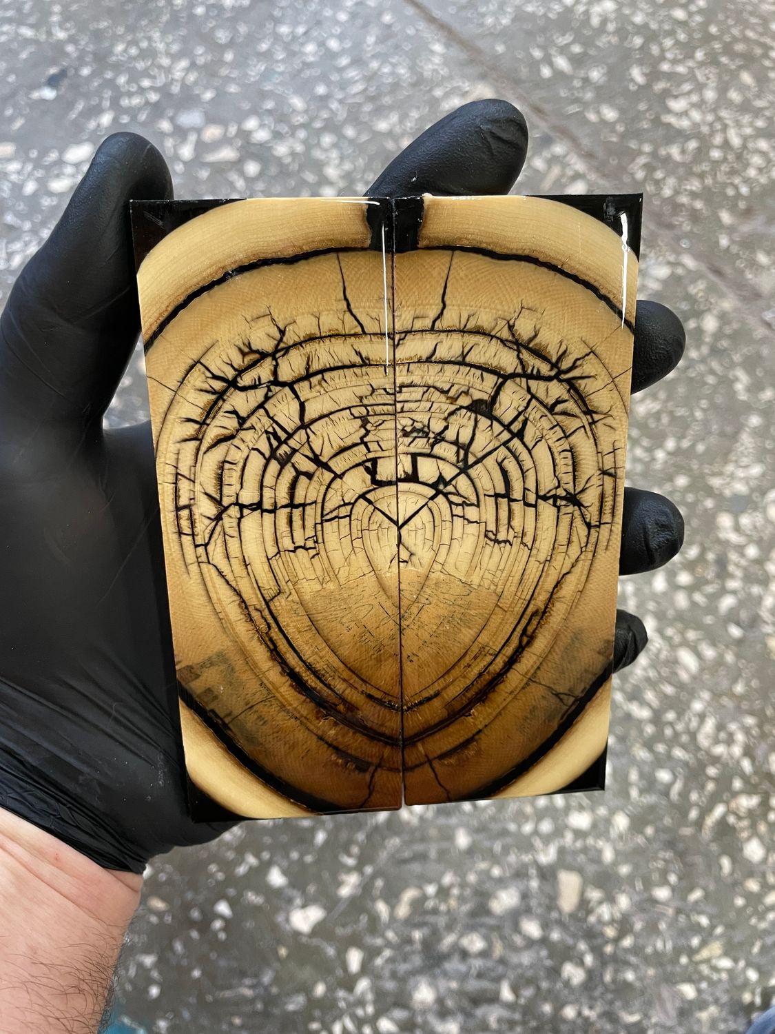 Mammoth tusk knife scales 5.35-1.81-0.39 inch MTS56