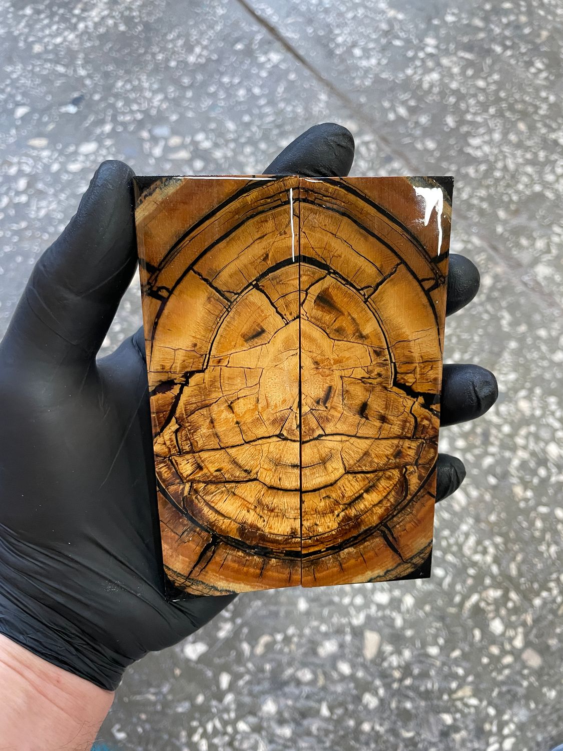 Mammoth tusk knife scales 5.11-1.77-0.39 inch MTS66