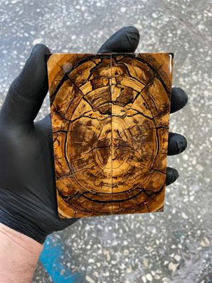 Mammoth tusk knife scales 5.19-1.81-0.39 inch MTS71