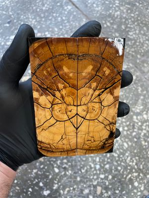 Mammoth tusk knife scales 5.15-1.77-0.43 inch MTS58