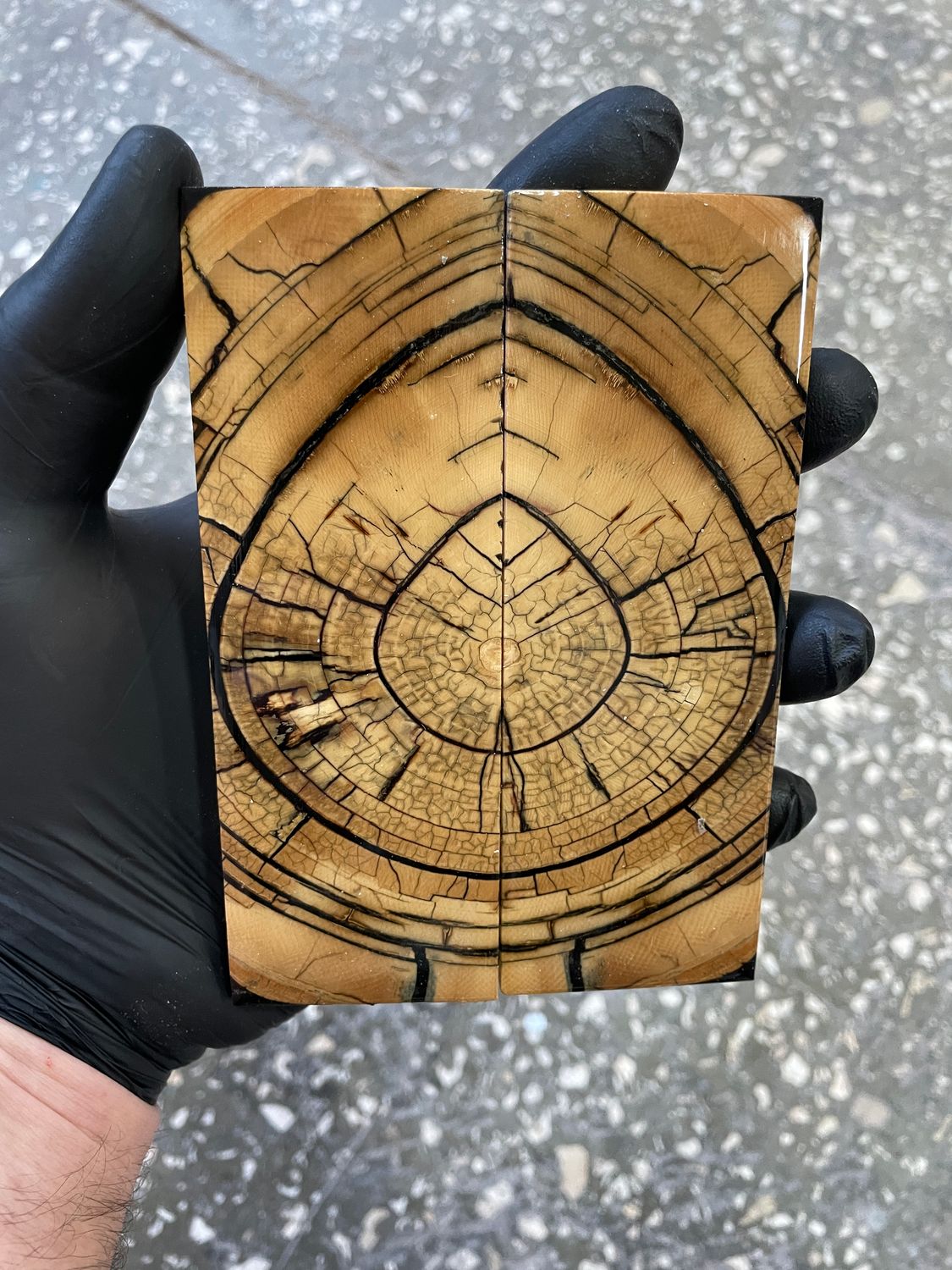 Mammoth tusk knife scales 5.23-1.85-0.43 inch MTS60