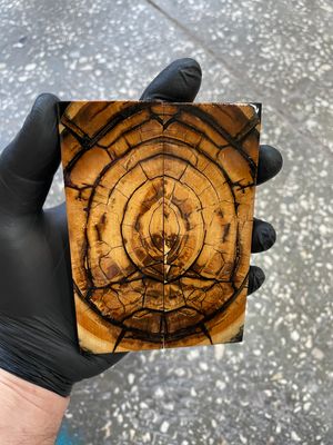 Mammoth tusk knife scales 5.11-1.77-0.39 inch MTS67