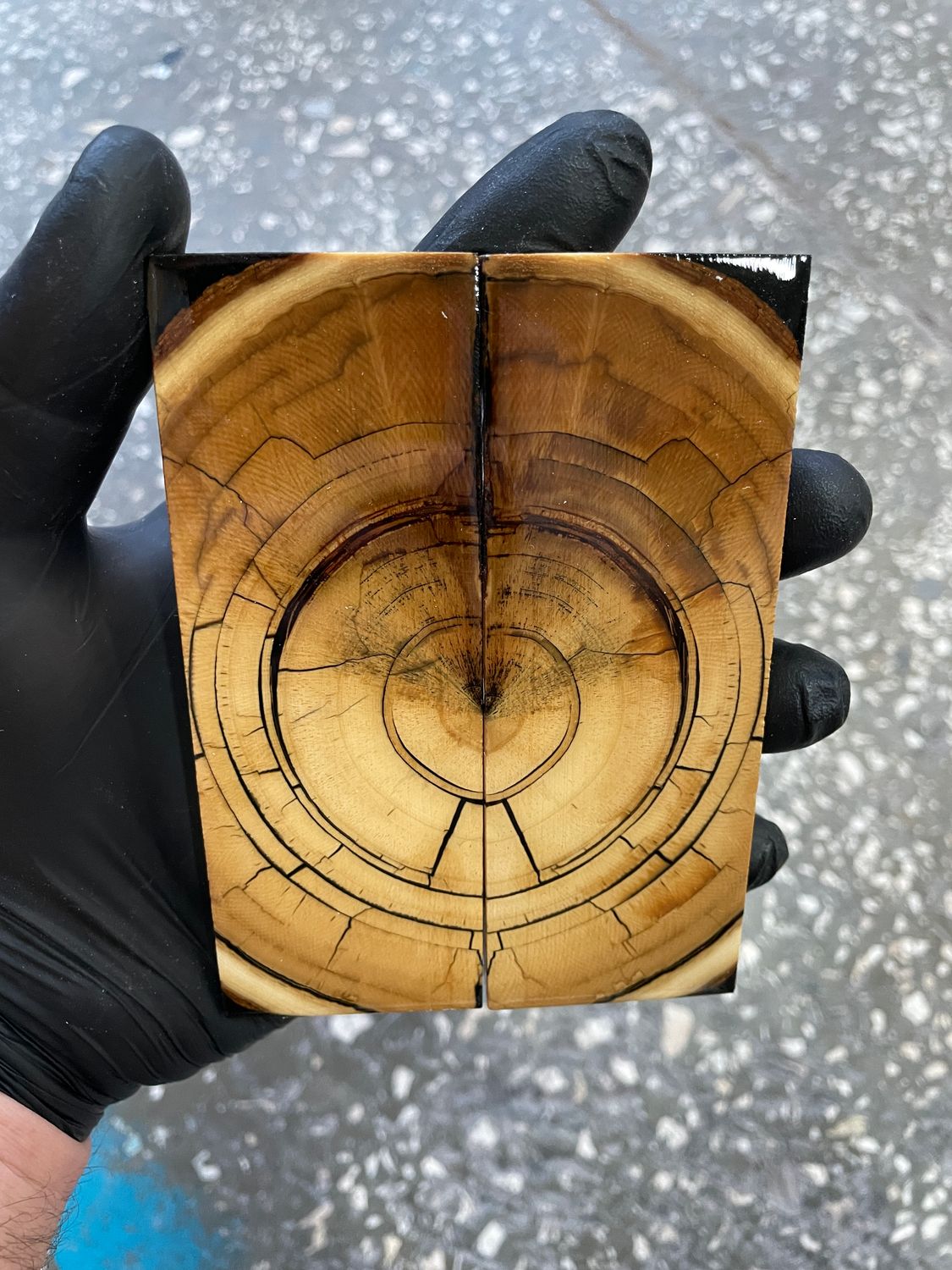 Mammoth tusk knife scales 4.84-1.73-0.39 inch MTS76