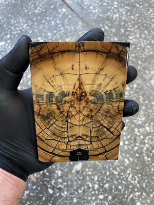 Mammoth tusk knife scales 5.07-1.88-0.39 inch MTS57