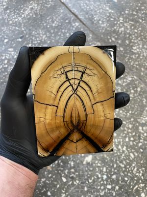 Mammoth tusk knife scales 5.19-1.88-0.43 inch MTS59