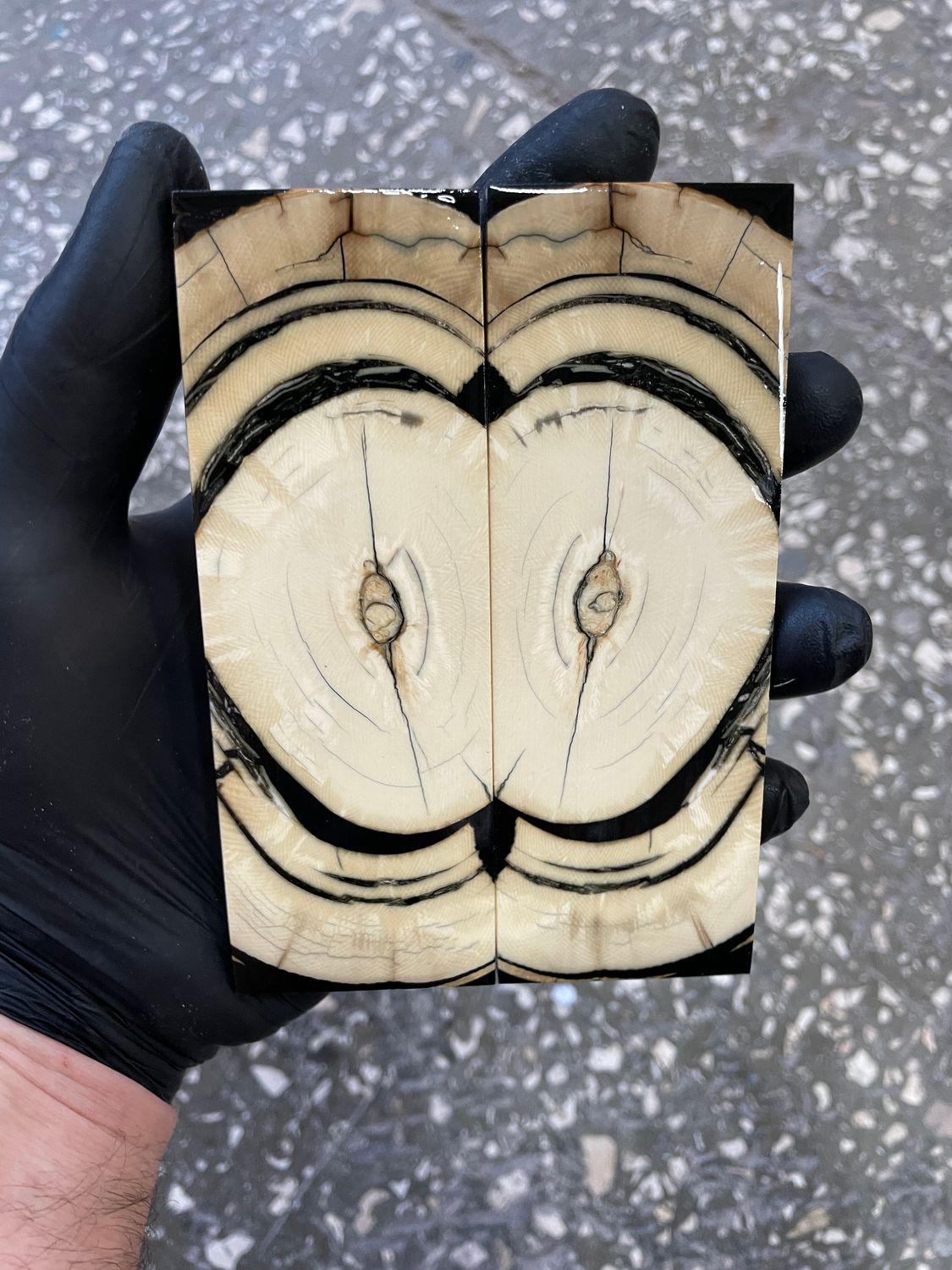 Mammoth tusk knife scales 5.15-1.81-0.39 inch MTS61