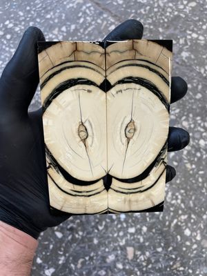 Mammoth tusk knife scales 5.15-1.81-0.39 inch MTS61