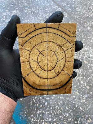 Mammoth tusk knife scales 5.11-1.77-0.39 inch MTS69