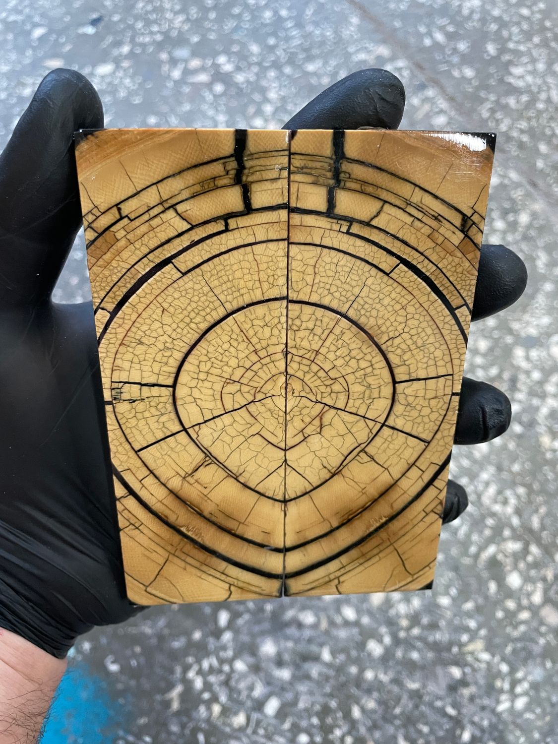 Mammoth tusk knife scales 5.23-1.85-0.39 inch MTS78