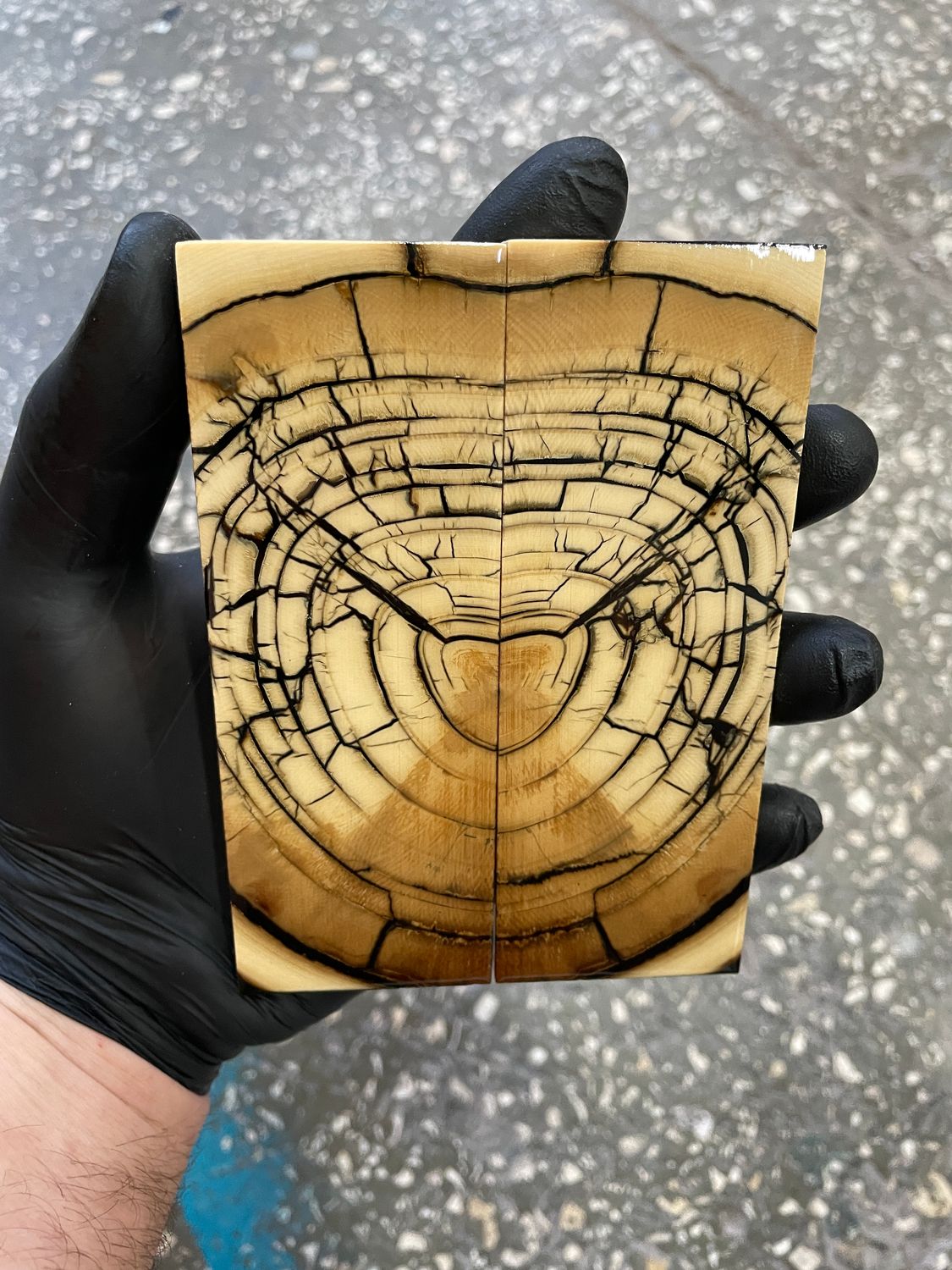 Mammoth tusk knife scales 5.19-1.88-0.39 inch MTS86