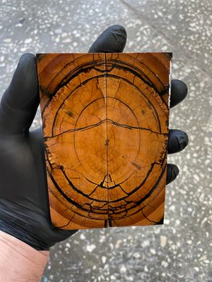 Mammoth tusk knife scales 5.35-1.81-0.39 inch MTS53