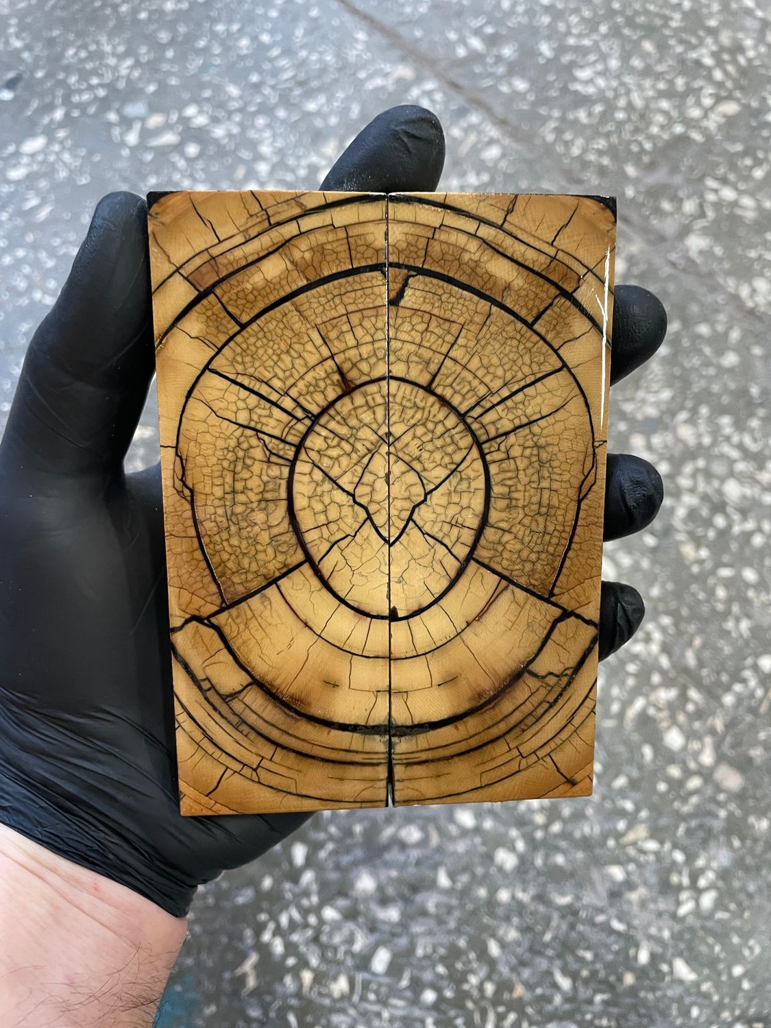 Mammoth tusk knife scales 5.23-1.85-0.43 inch MTS64