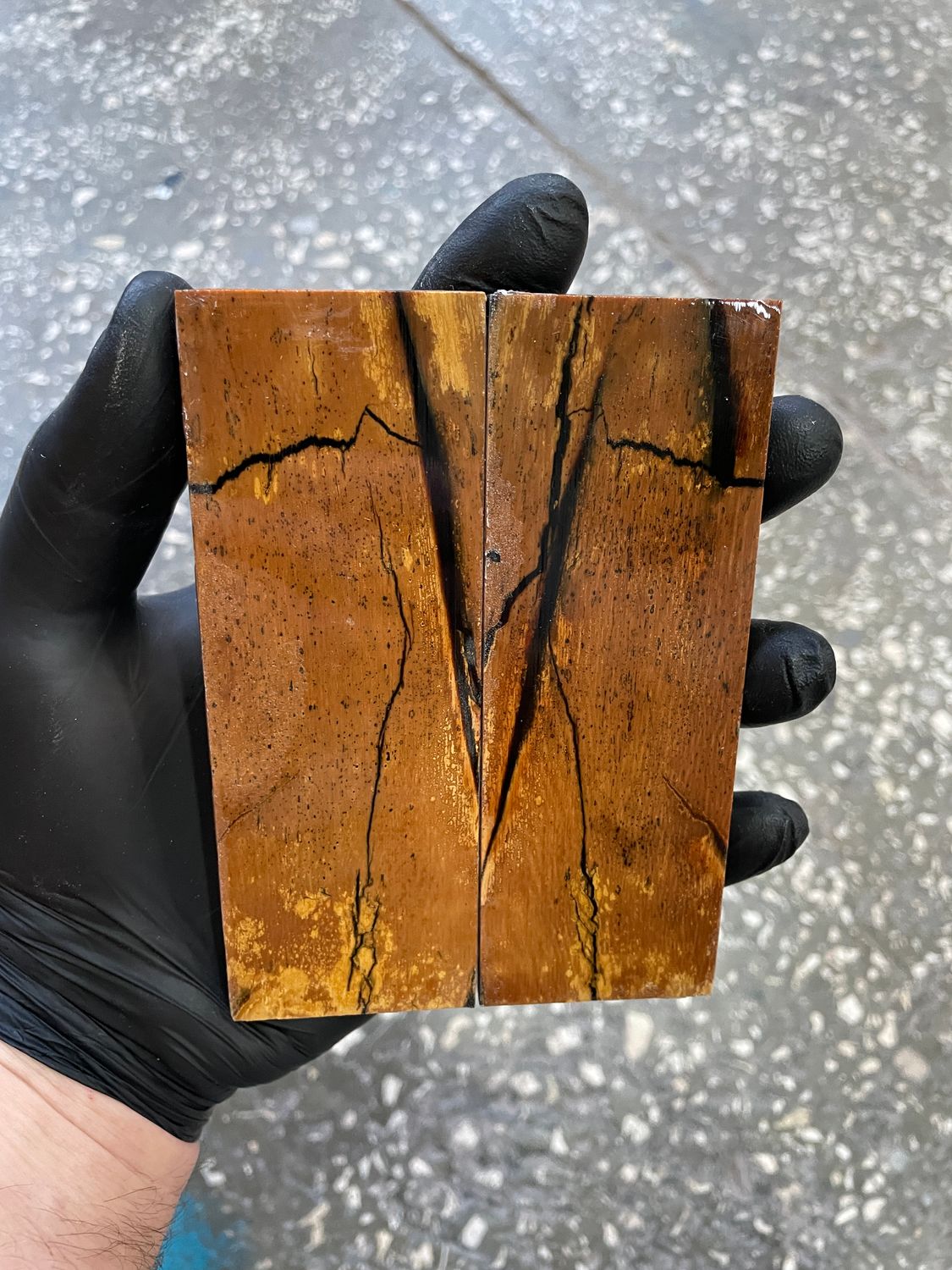 Mammoth tusk knife scales 5.11-1.81-0.35 inch MTS81