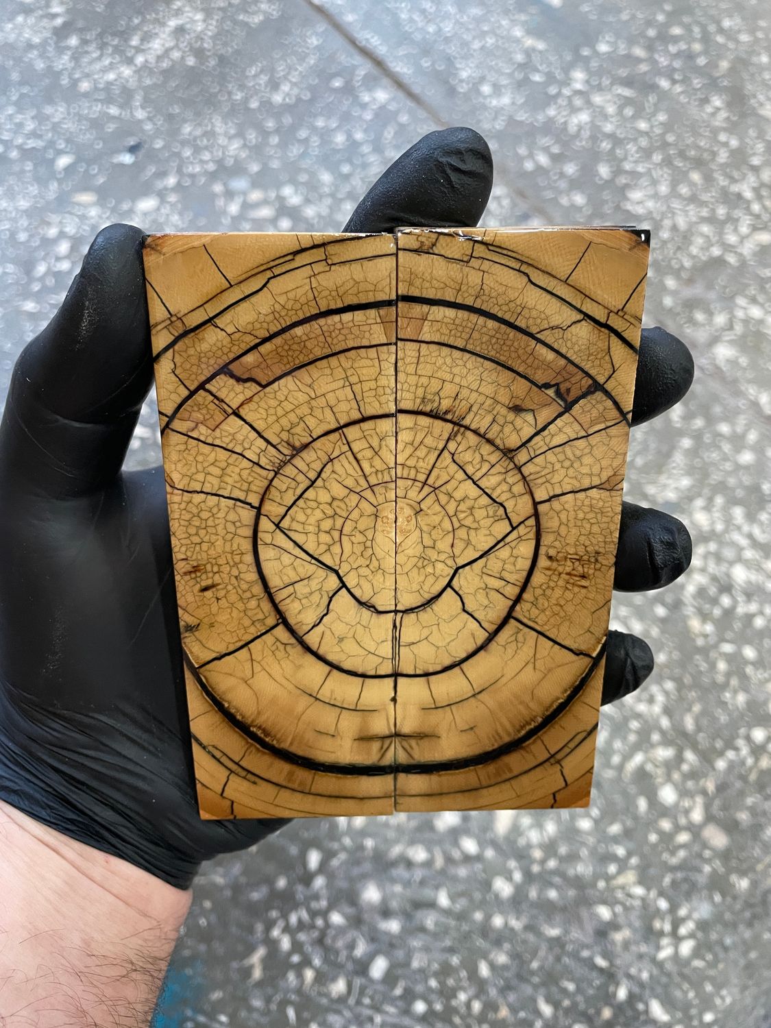 Mammoth tusk knife scales 5.19-1.81-0.39 inch MTS82