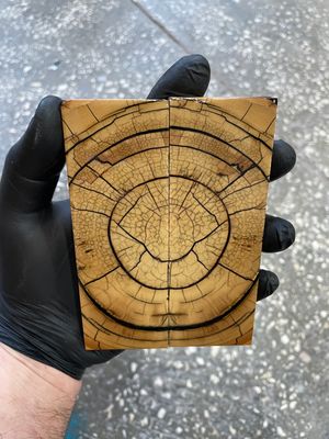 Mammoth tusk knife scales 5.19-1.81-0.39 inch MTS82