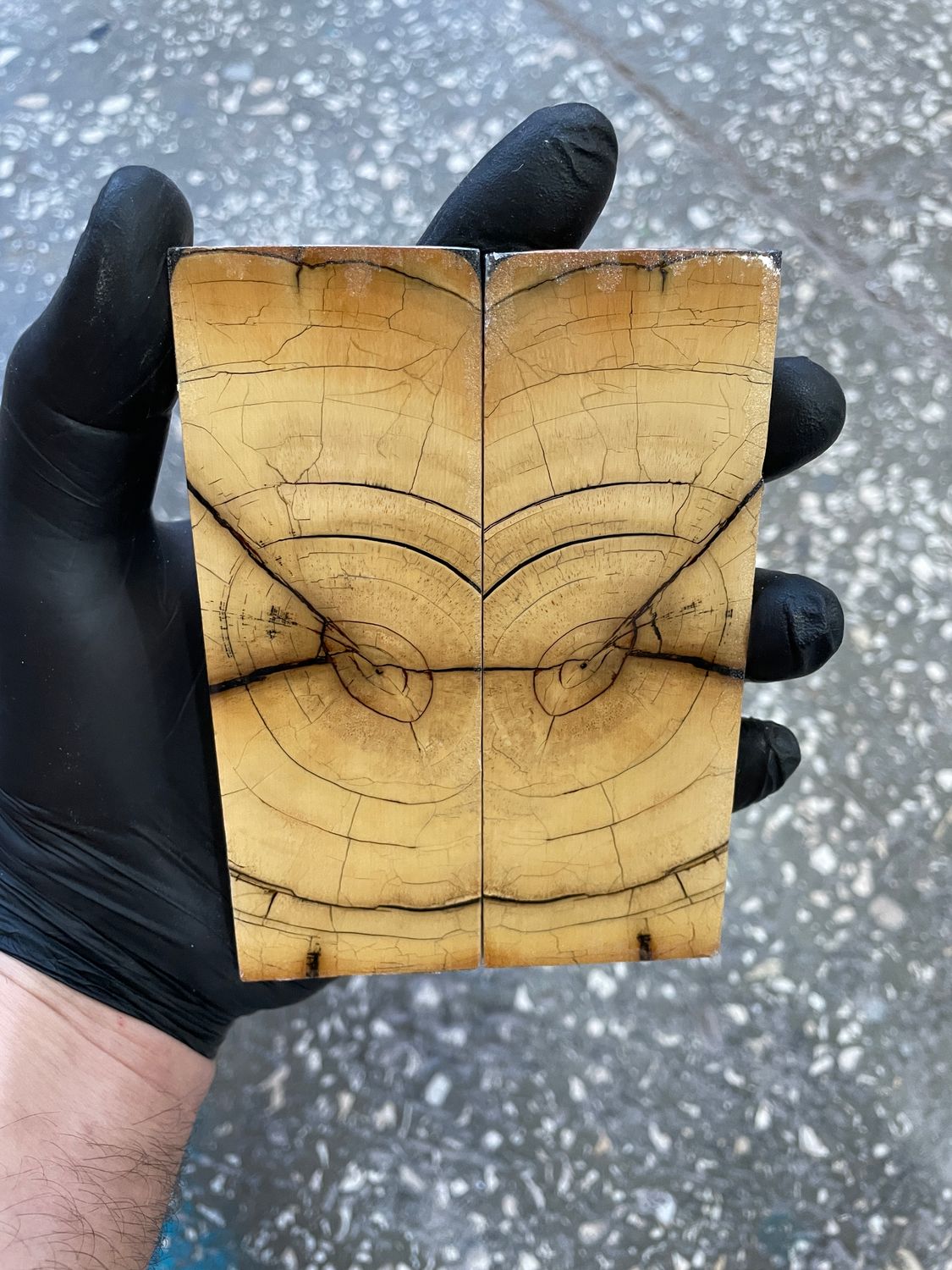 Mammoth tusk knife scales 5.03-1.81-0.47 inch MTS83