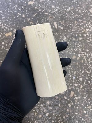 Walrus tusk for scrimshaw knifehandle carving 1 lb W52