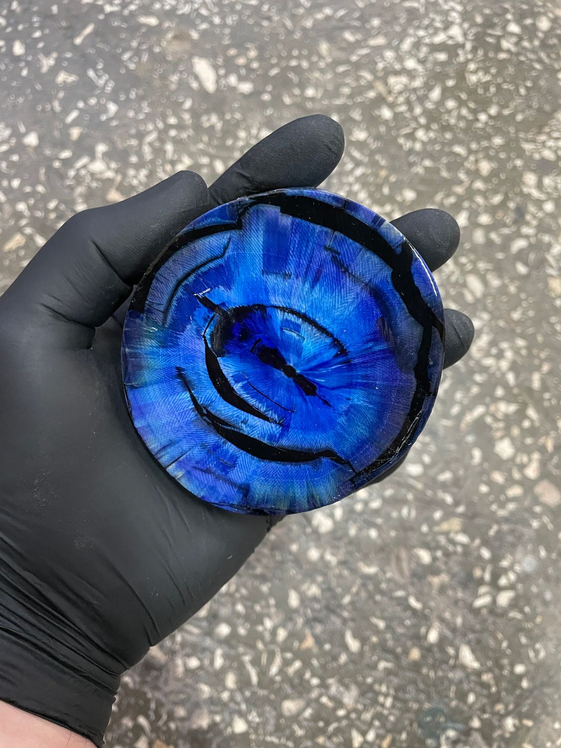 Mammoth tusk disk cross cut MTD19