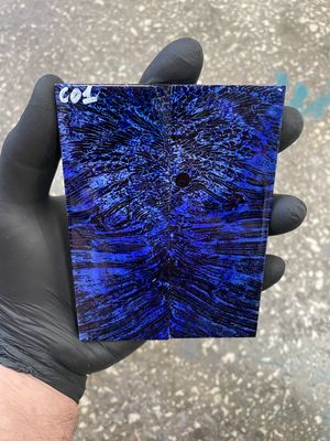 coral stabilzied pair scales