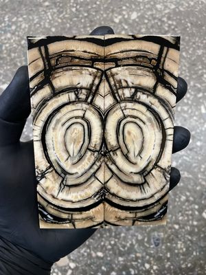 stabilized mammoth tusk knife scales pair fossil handle material