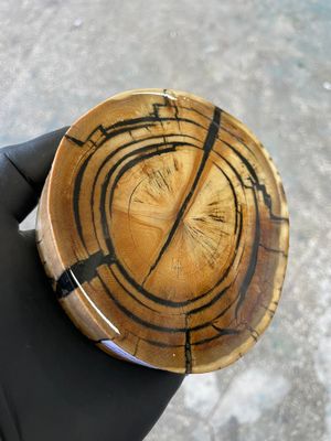 mammoth tusk disk