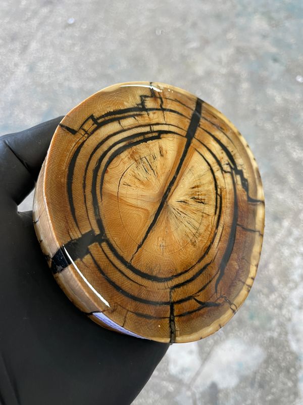 mammoth tusk disk