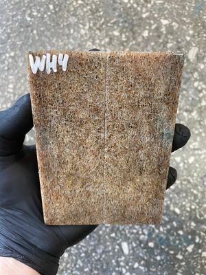 stabilized whale vertebra knife scales pair fossil handle material