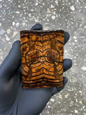 stabilized mammoth tusk knife scales pocket size unique fossil material for custom knife handle making