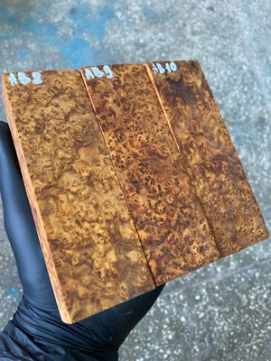 amboyna burl stabilized