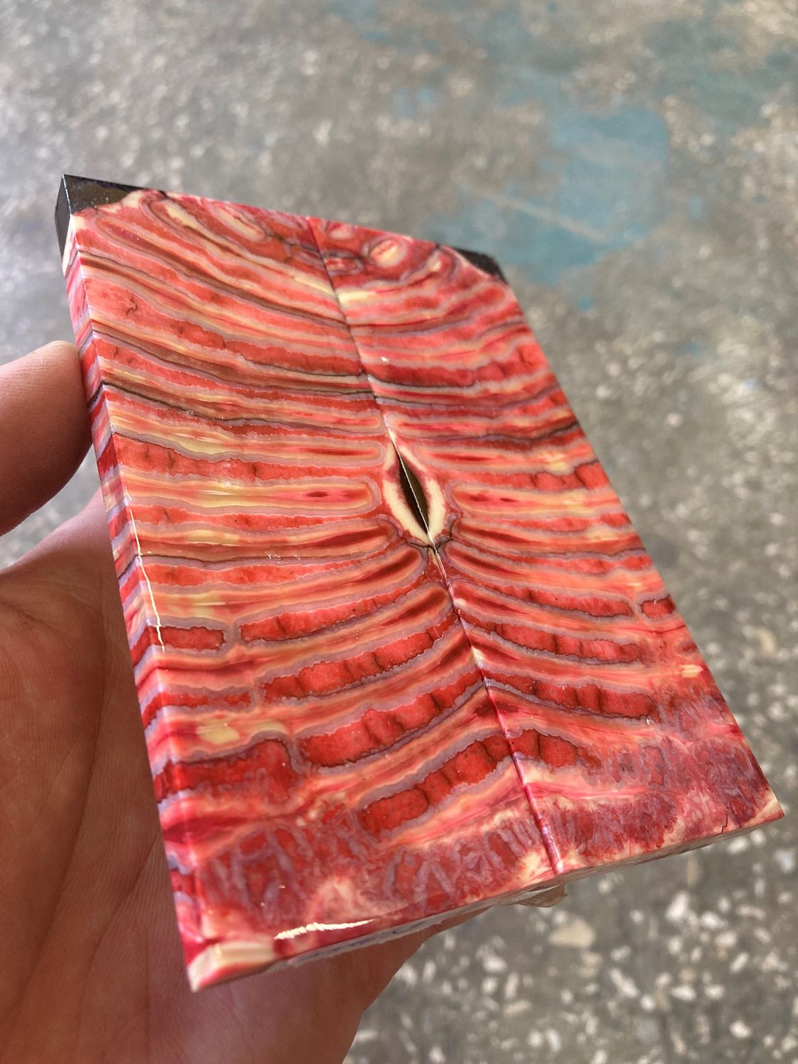 mammoth tooth stabilized knife handle scales pair T259