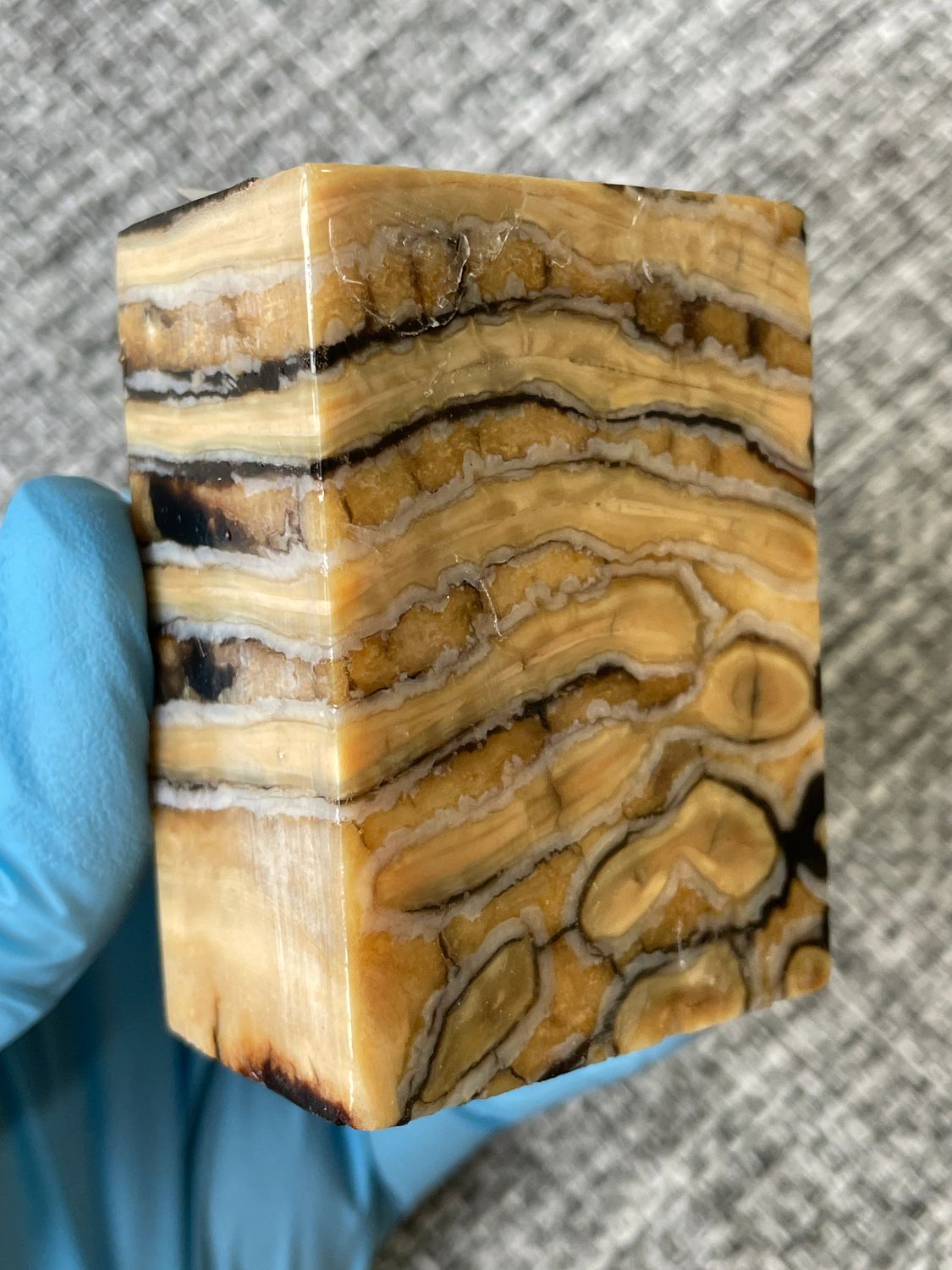 mammoth tooth stabilized spacer block for knife handle T680