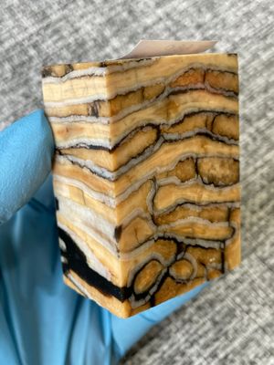 woolly mammoth tooth spacer block stabilized knifemaking material