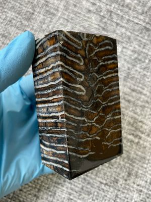 woolly mammoth tooth spacer block stabilized knifemaking material