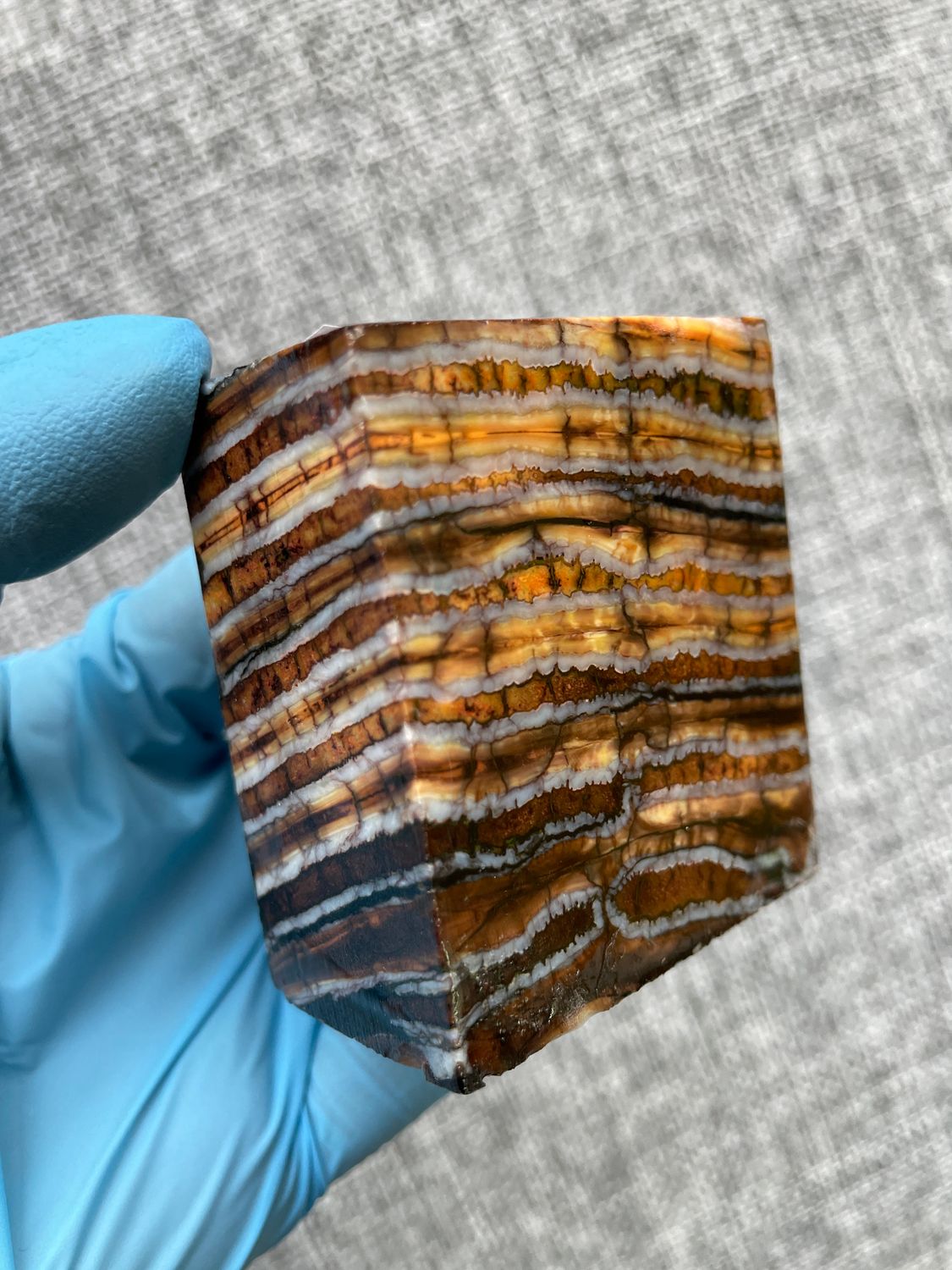 mammoth tooth stabilized spacer block for knife handle T717