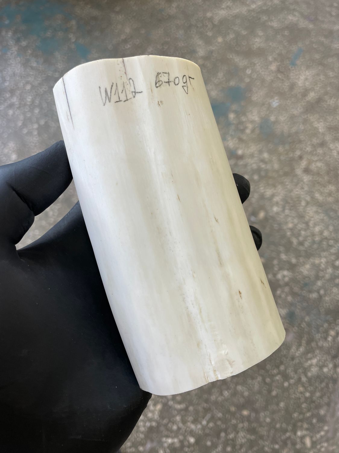 walrus tusk block for scrimshaw carving knife handle material W112